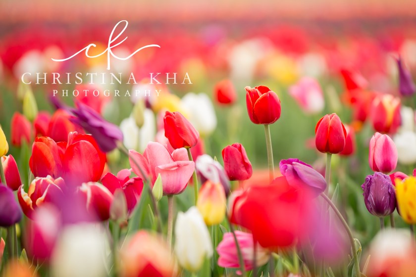 Christina Kha Photography Prints-3 copy