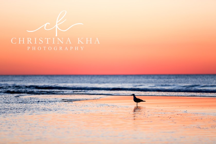 Christina Kha Photography Prints-4 copy