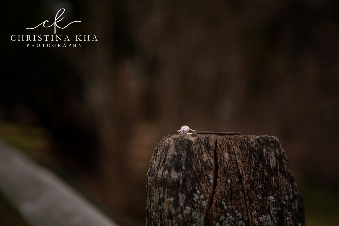 Josiah&amp;PaigeEngagement-67